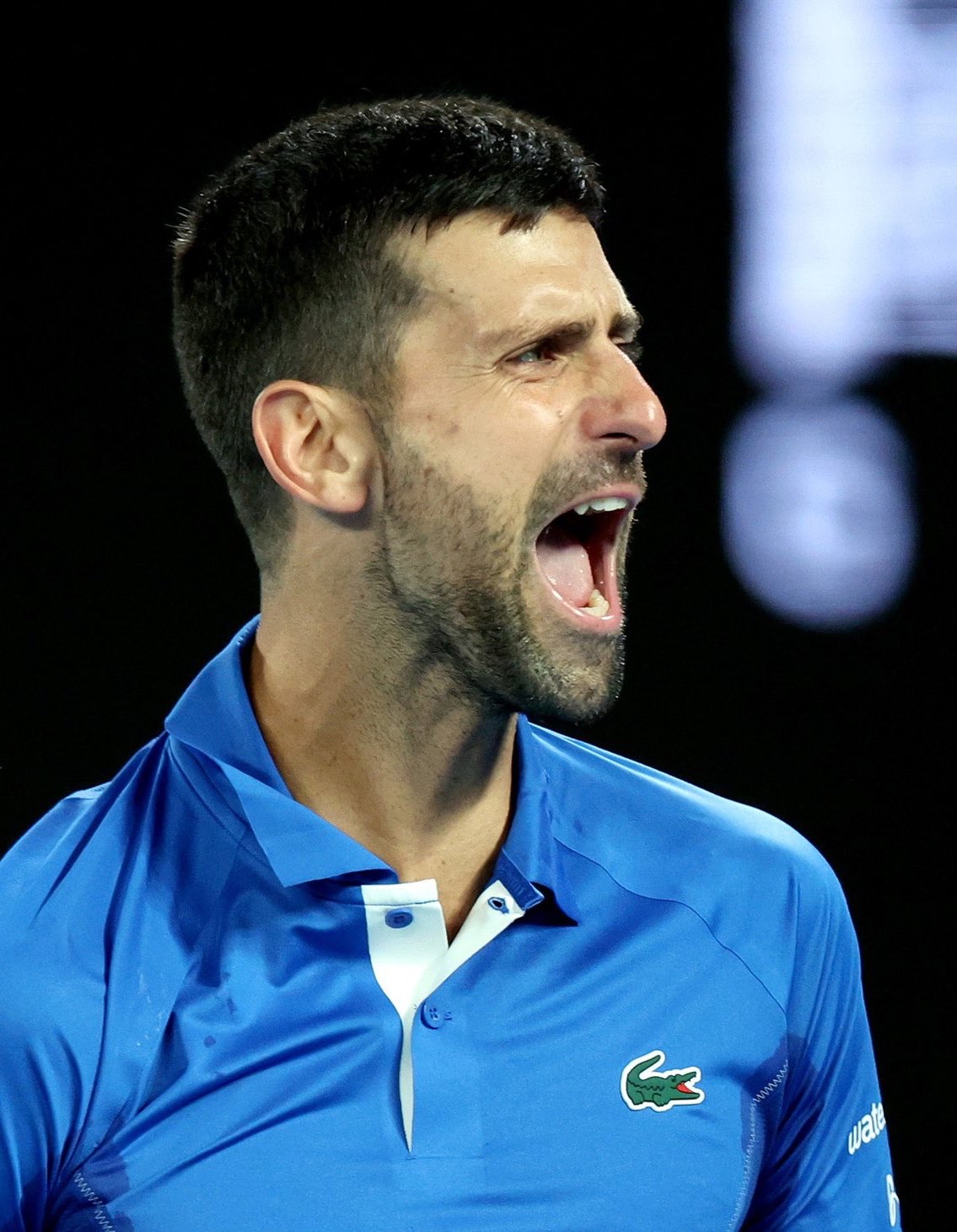 意大利网球队逆转澳大利亚网球队,德约科维奇关键制胜的简单介绍 意大利网球队逆转澳大利亚网球队,德约科维奇关键制胜的简单介绍