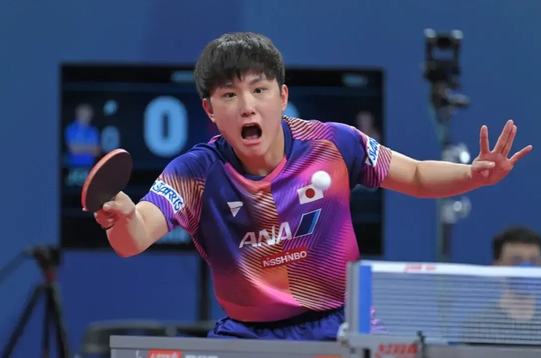 开云体育入口-日本乒乓球队横扫波兰乒乓球队,张本智和送出助攻的简单介绍